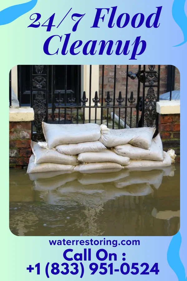 24/7 Flood Cleanup in Asbury Lake, FL