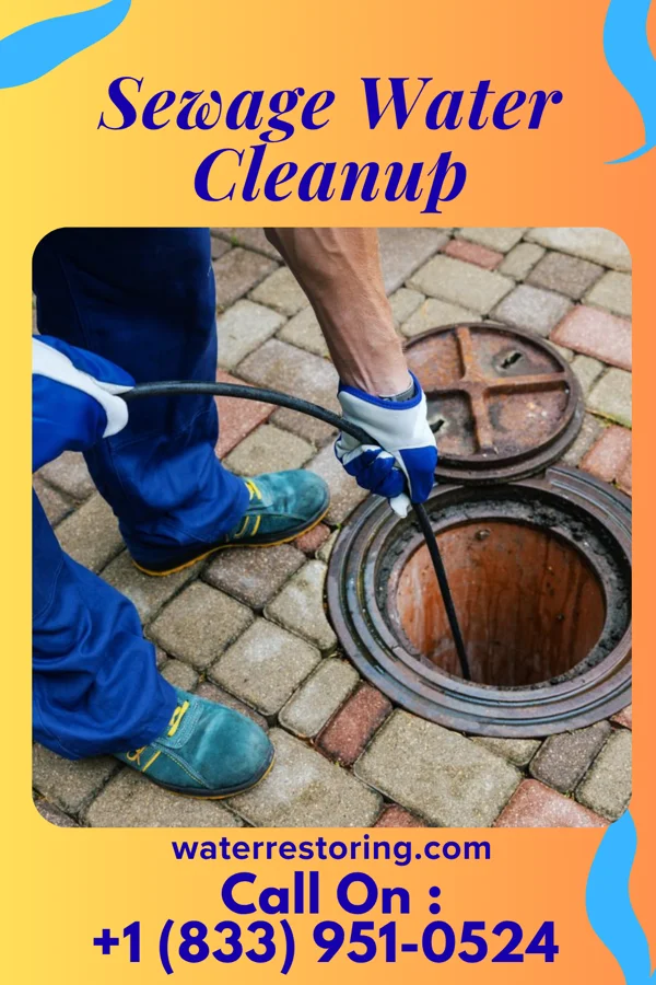 Sewage Water Cleanup in Asbury Lake, FL