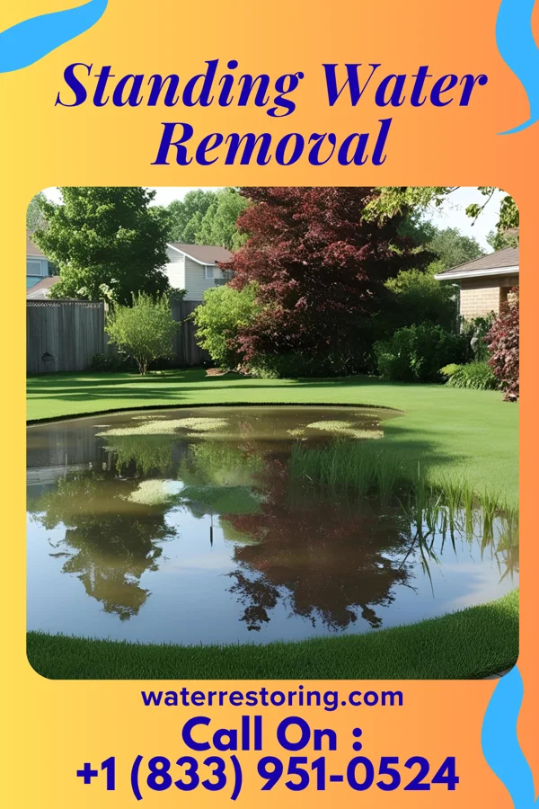 Standing Water Removal in Asbury Lake, FL